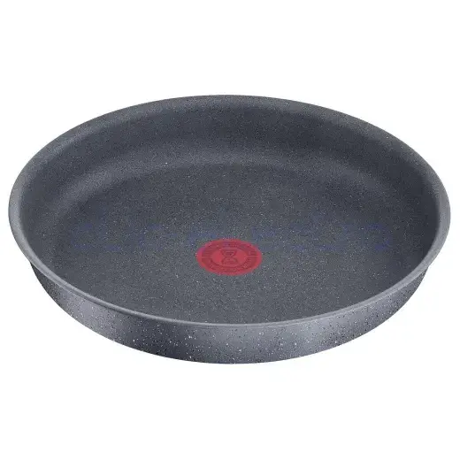 INGENIO Natural Force Casserole 20 cm – TEFAL